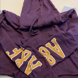 Abercrombie and Fitch Cropped Hoodie